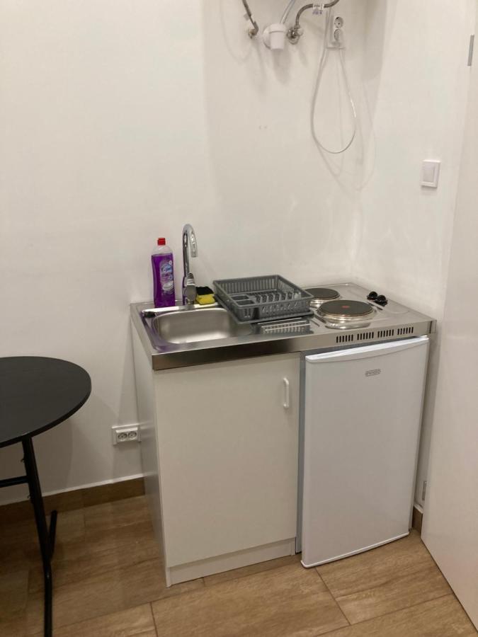 Roland Apartment Downtown - Keleti Budapest Esterno foto